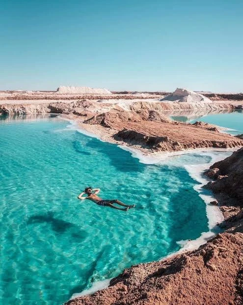 Oasis and desert