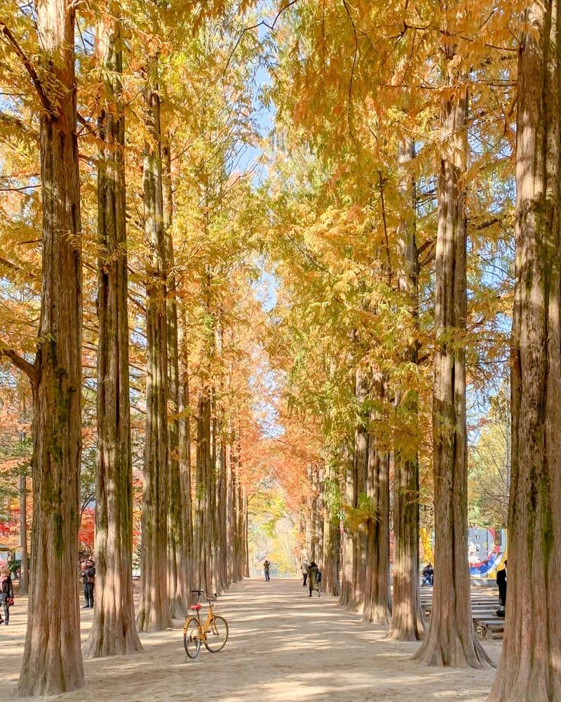 South Korea
