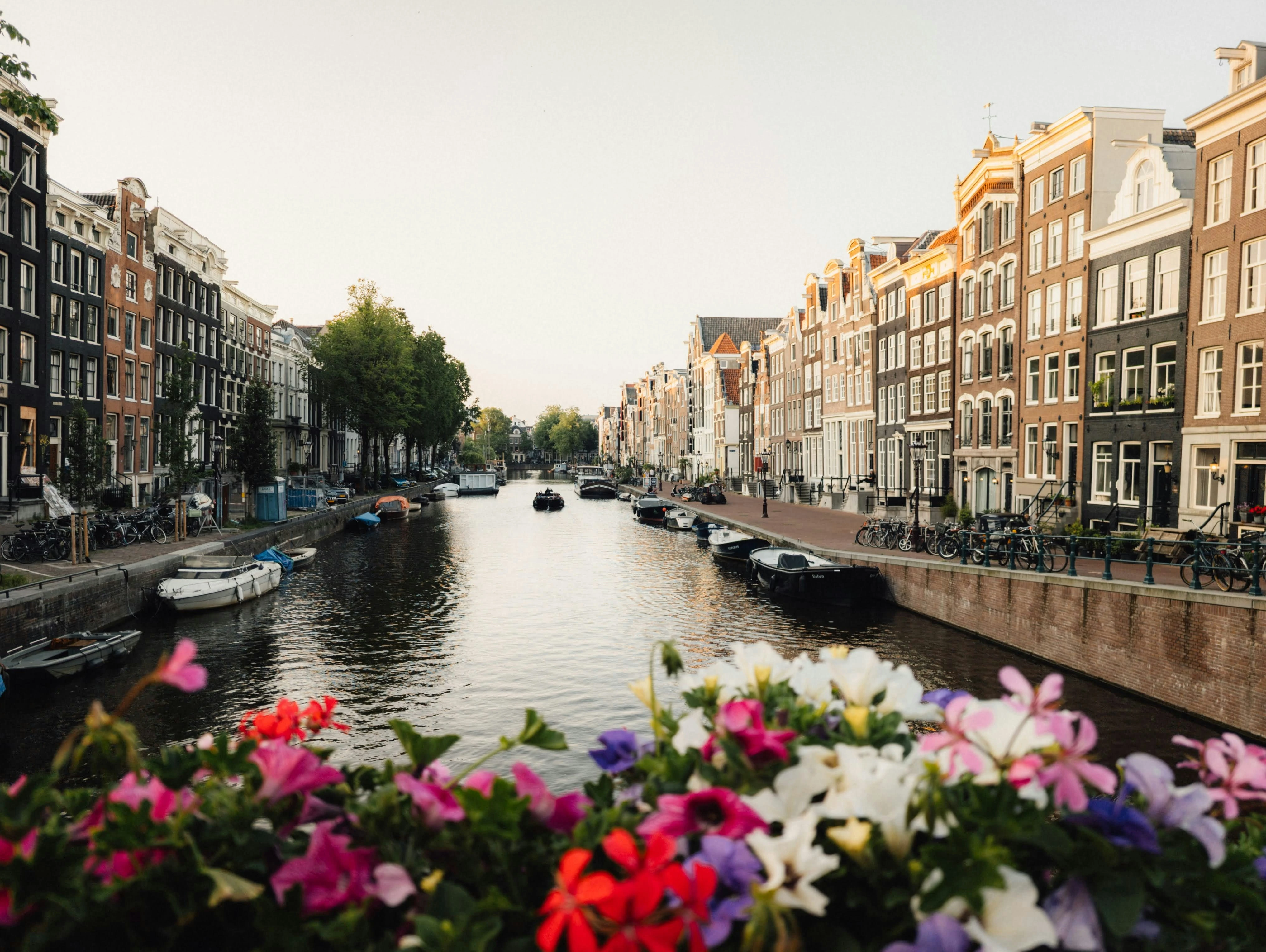 Amsterdam Tour