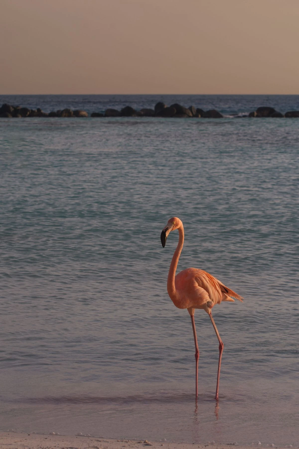 Aruba