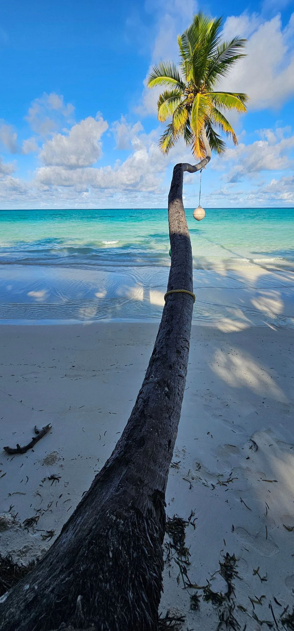 Bahamas