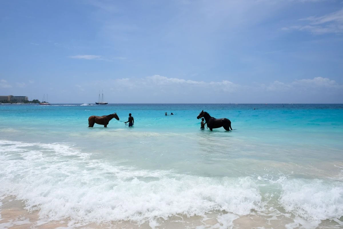 Barbados