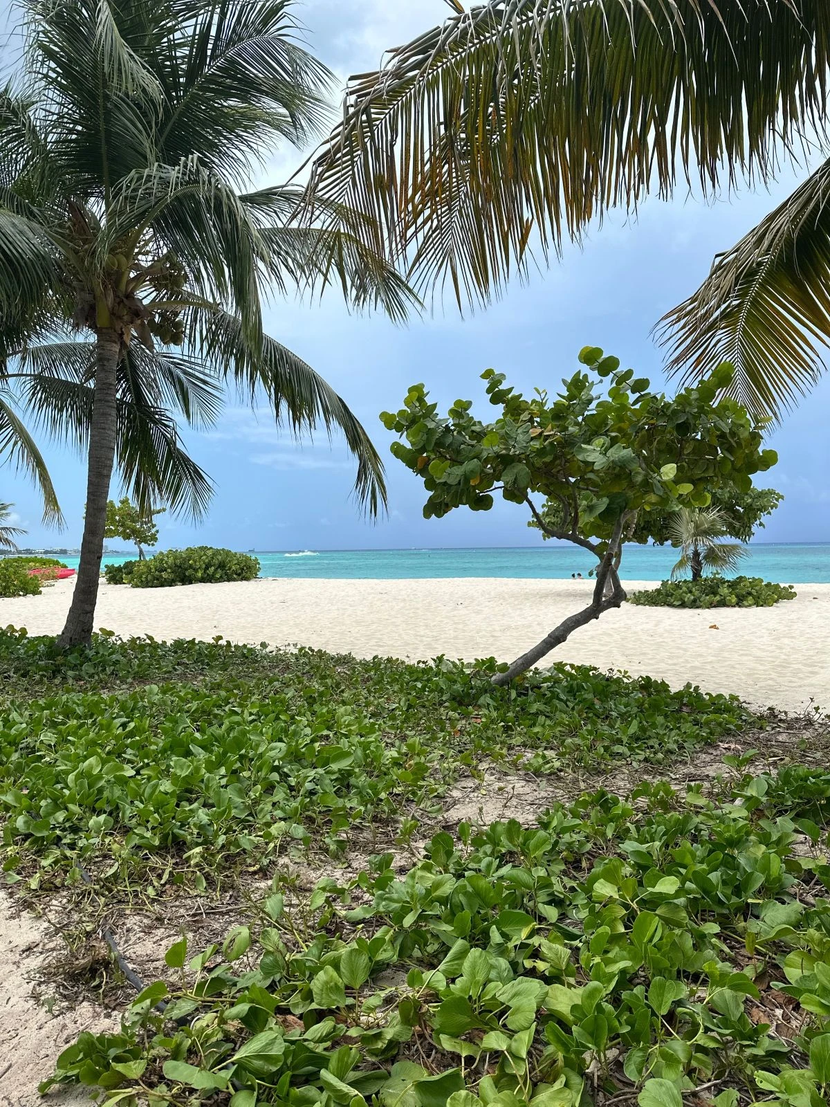 Grand Cayman
